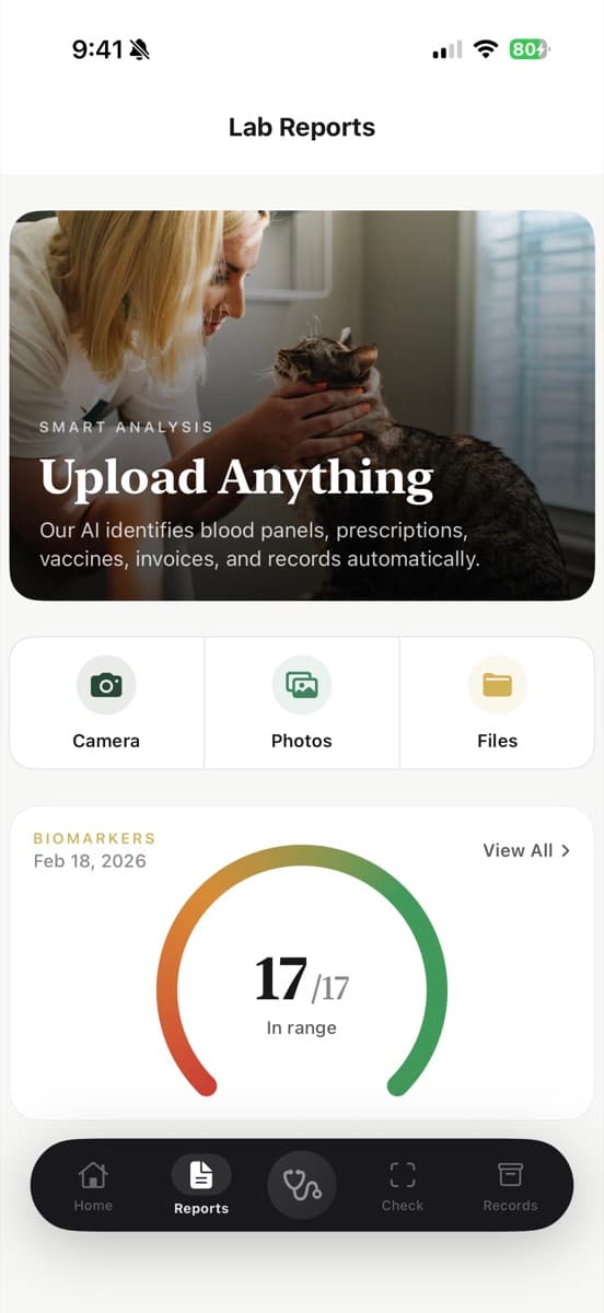 Furever app — Smart Health Records