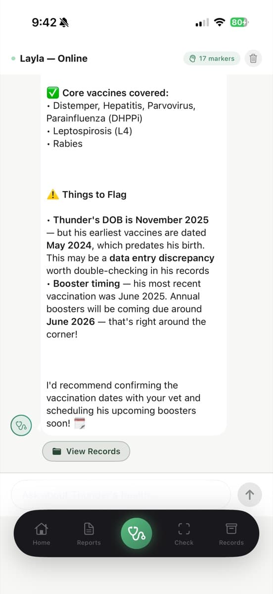 Furever app — Chat with Layla AI